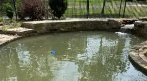 Image of pool filled with green algae used as a featured image on the Attack of the Algae post.